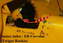 Immer dabei - ER-Corvulus 
 (Ewiger Rookie)